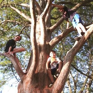 Meet your Posher, Sandy